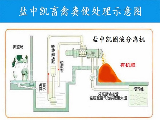 豬糞干濕分離機(jī)